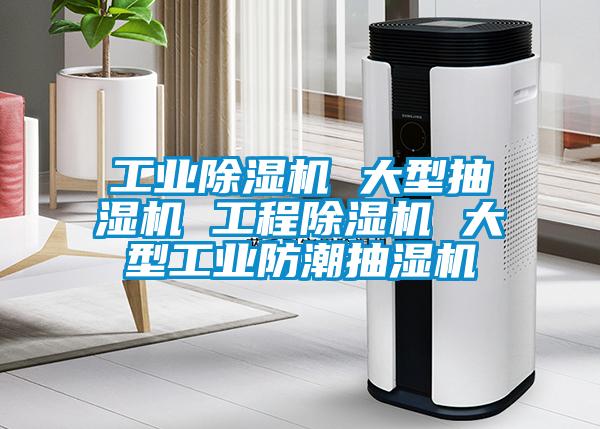 工業(yè)除濕機 大型抽濕機 工程除濕機 大型工業(yè)防潮抽濕機