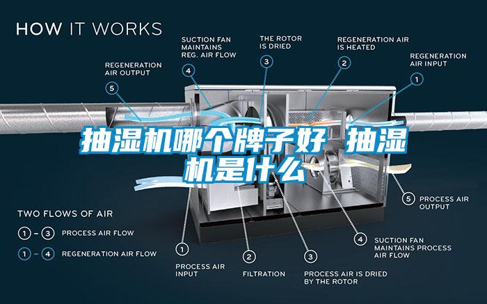 抽濕機哪個牌子好 抽濕機是什么