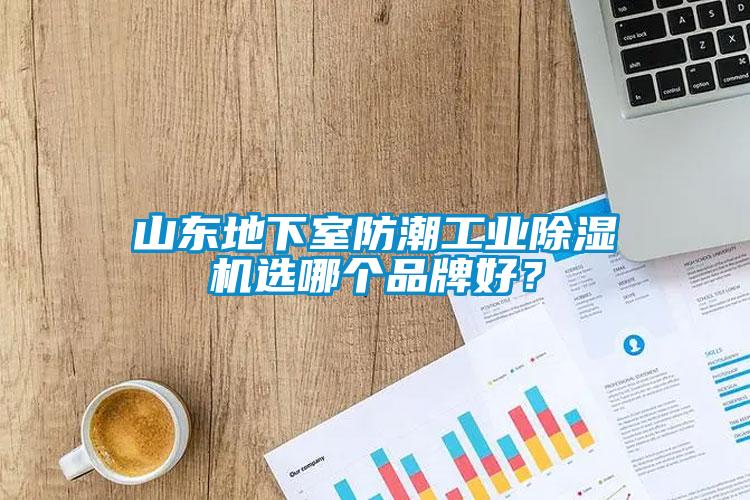 山東地下室防潮工業(yè)除濕機選哪個品牌好？