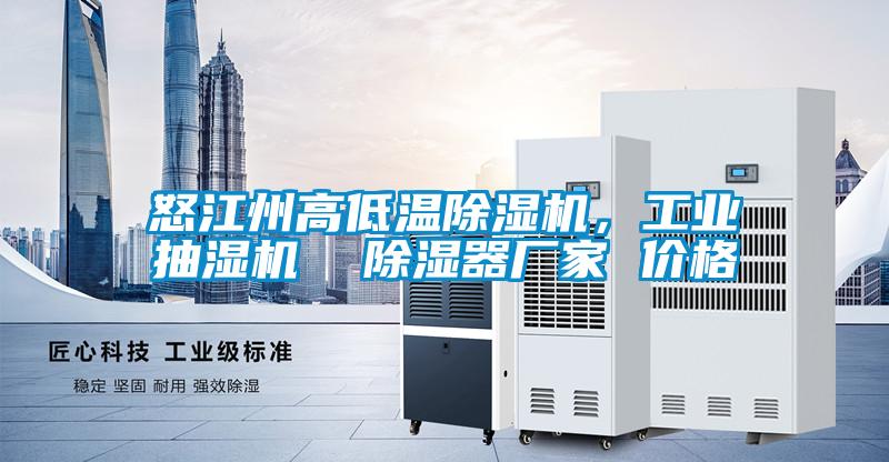 怒江州高低溫除濕機，工業(yè)抽濕機  除濕器廠家 價格