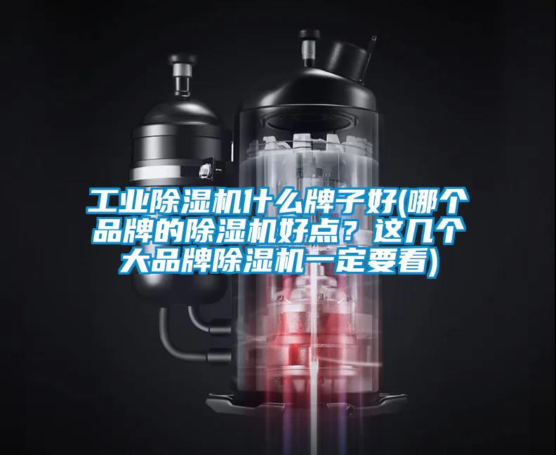 工業(yè)除濕機(jī)什么牌子好(哪個(gè)品牌的除濕機(jī)好點(diǎn)？這幾個(gè)大品牌除濕機(jī)一定要看)