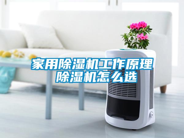 家用除濕機工作原理 除濕機怎么選