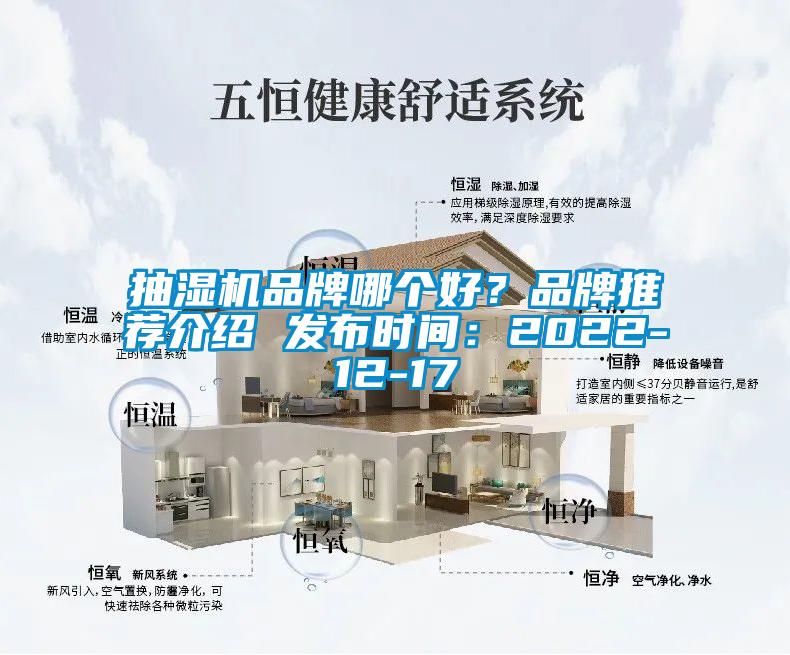 抽濕機品牌哪個好？品牌推薦介紹 發(fā)布時間：2022-12-17