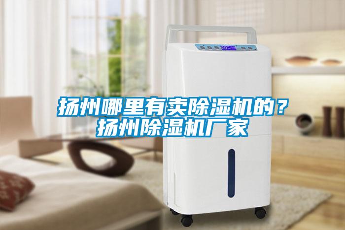 揚(yáng)州哪里有賣(mài)除濕機(jī)的？揚(yáng)州除濕機(jī)廠家