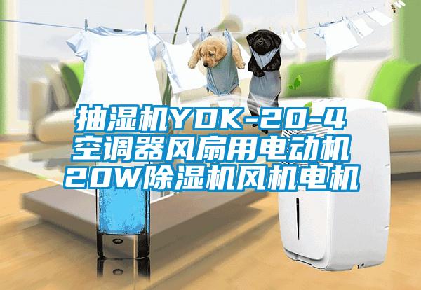 抽濕機YDK-20-4空調(diào)器風(fēng)扇用電動機20W除濕機風(fēng)機電機