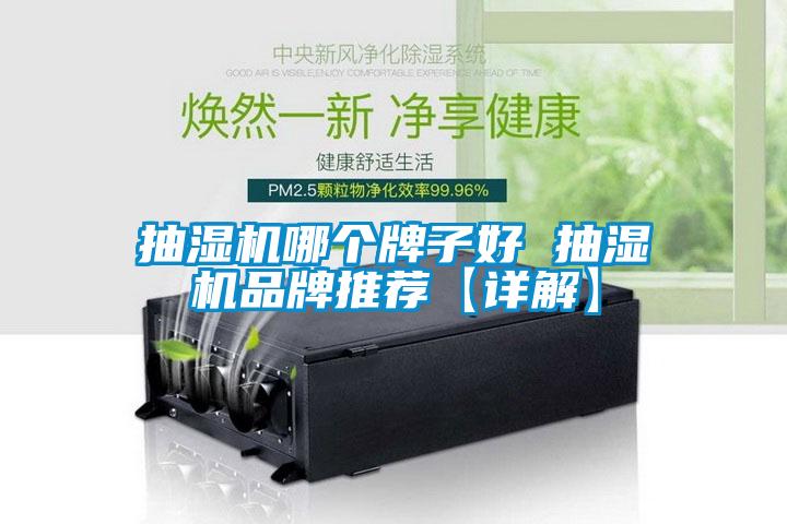 抽濕機哪個牌子好 抽濕機品牌推薦【詳解】