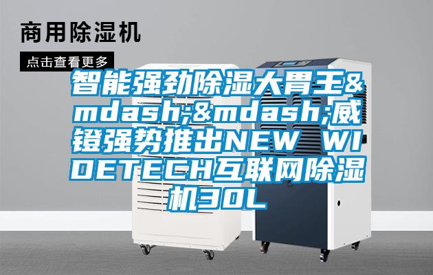 智能強勁除濕大胃王——威鐙強勢推出NEW WIDETECH互聯(lián)網(wǎng)除濕機30L