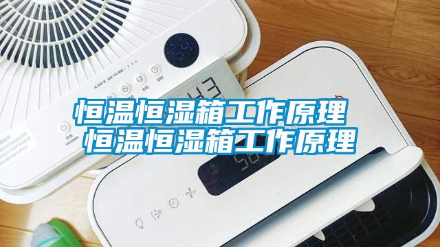 恒溫恒濕箱工作原理 恒溫恒濕箱工作原理