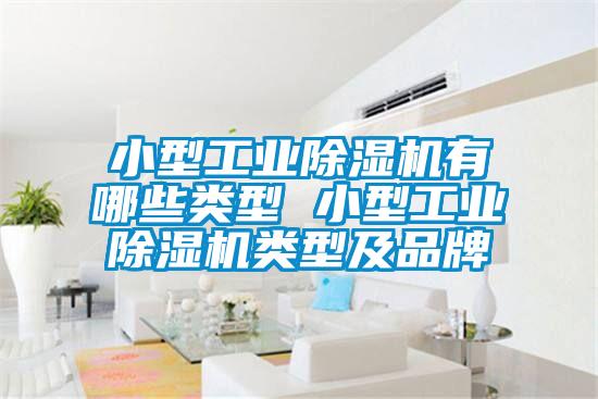 小型工業(yè)除濕機有哪些類型 小型工業(yè)除濕機類型及品牌