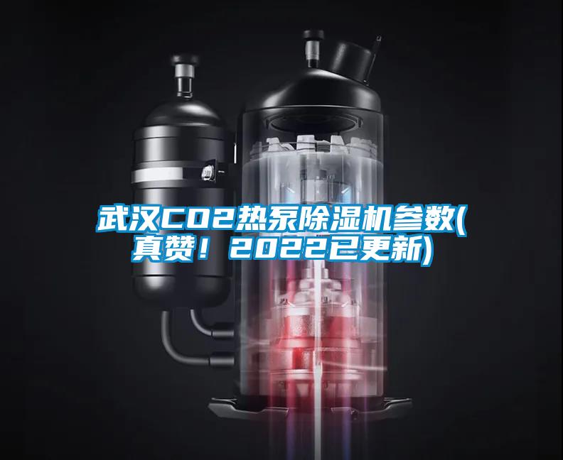 武漢CO2熱泵除濕機(jī)參數(shù)(真贊！2022已更新)