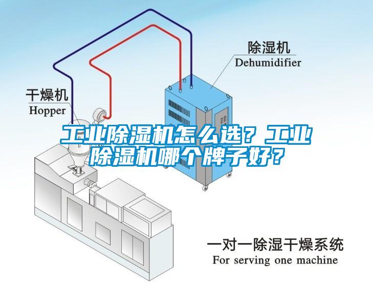 工業(yè)除濕機怎么選？工業(yè)除濕機哪個牌子好？