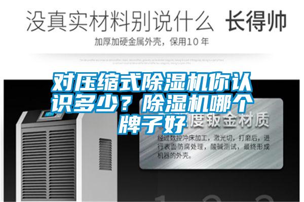 對壓縮式除濕機你認識多少？除濕機哪個牌子好