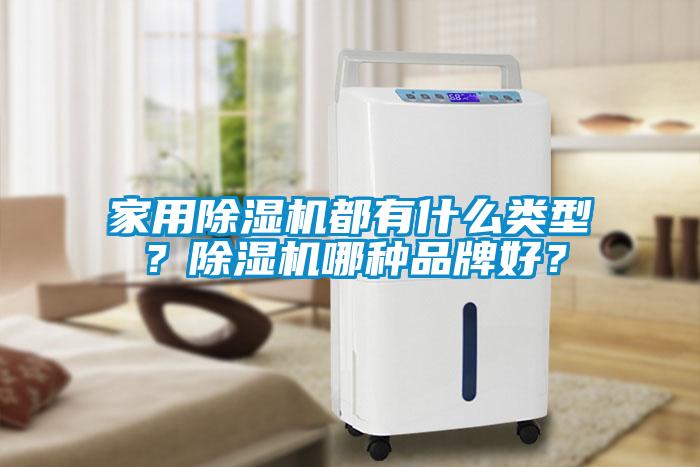 家用除濕機(jī)都有什么類型？除濕機(jī)哪種品牌好？