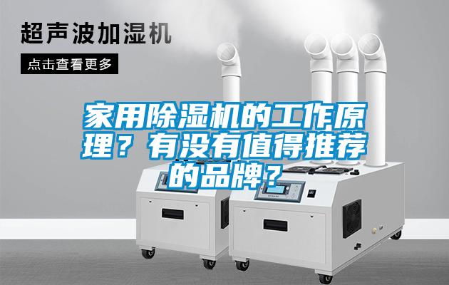 家用除濕機的工作原理？有沒有值得推薦的品牌？