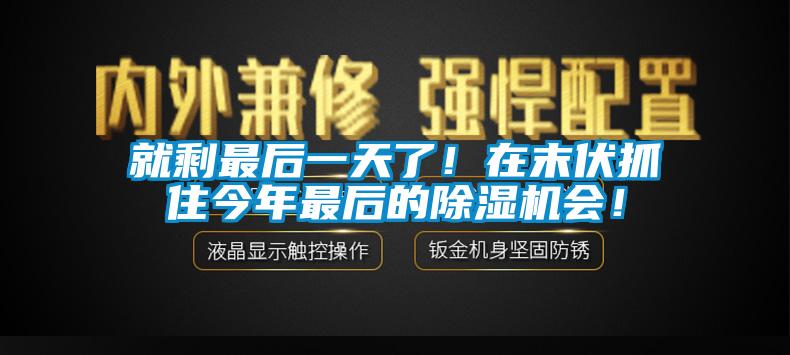 就剩最后一天了！在末伏抓住今年最后的除濕機(jī)會(huì)！