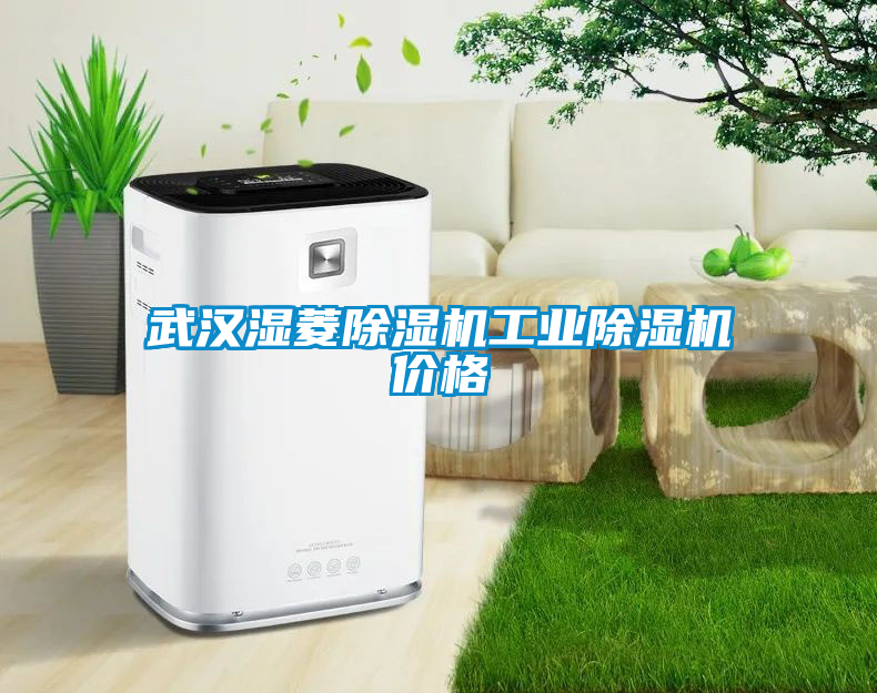 武漢濕菱除濕機工業(yè)除濕機價格