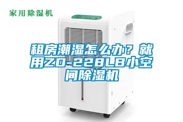 租房潮濕怎么辦？就用ZD-228LB小空間除濕機(jī)