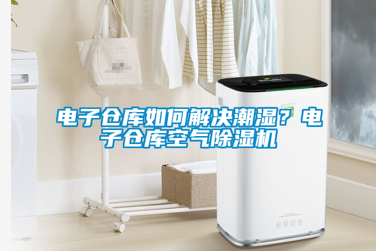 電子倉庫如何解決潮濕？電子倉庫空氣除濕機