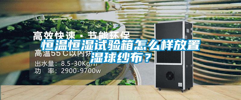 恒溫恒濕試驗箱怎么樣放置濕球紗布？