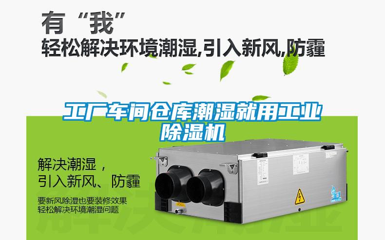 工廠車間倉庫潮濕就用工業(yè)除濕機