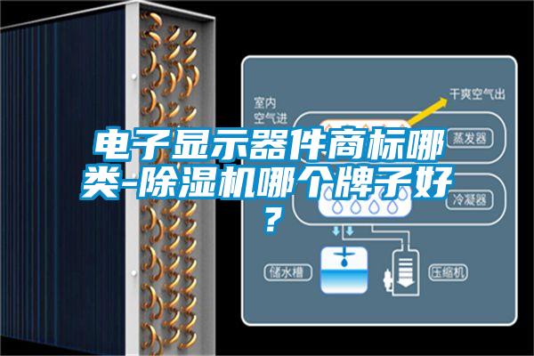 電子顯示器件商標哪類-除濕機哪個牌子好？