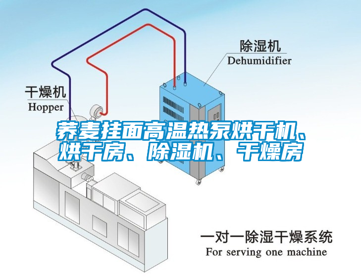 蕎麥掛面高溫?zé)岜煤娓蓹C(jī)、烘干房、除濕機(jī)、干燥房