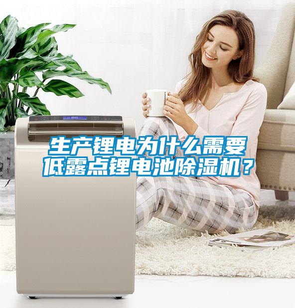 生產鋰電為什么需要低露點鋰電池除濕機？