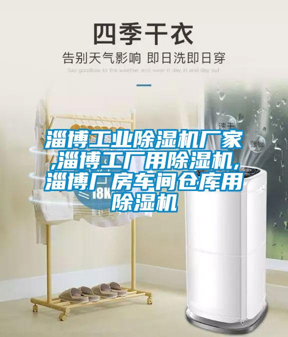 淄博工業(yè)除濕機(jī)廠家,淄博工廠用除濕機(jī),淄博廠房車間倉庫用除濕機(jī)