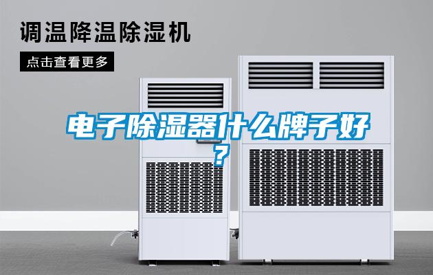 電子除濕器什么牌子好？