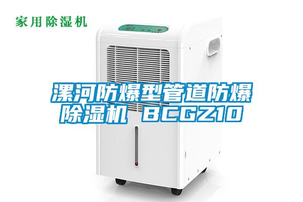 漯河防爆型管道防爆除濕機(jī) BCGZ10