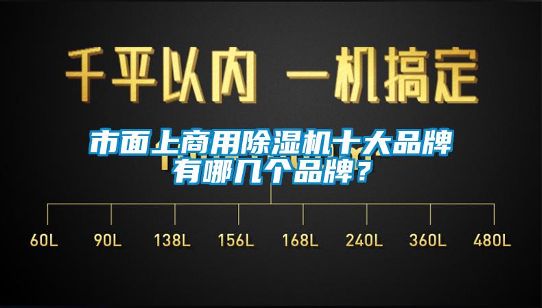 市面上商用除濕機十大品牌有哪幾個品牌？