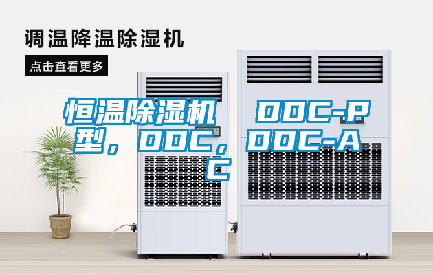 恒溫除濕機(jī)  DDC-P型，DDC，DDC-AC