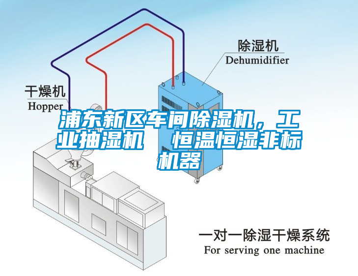 浦東新區(qū)車間除濕機，工業(yè)抽濕機  恒溫恒濕非標機器