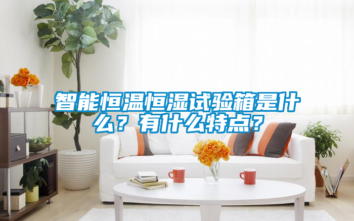 智能恒溫恒濕試驗箱是什么？有什么特點？