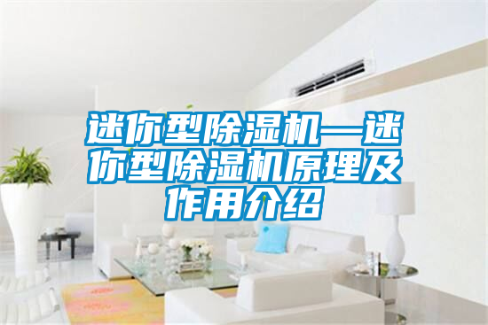 迷你型除濕機—迷你型除濕機原理及作用介紹