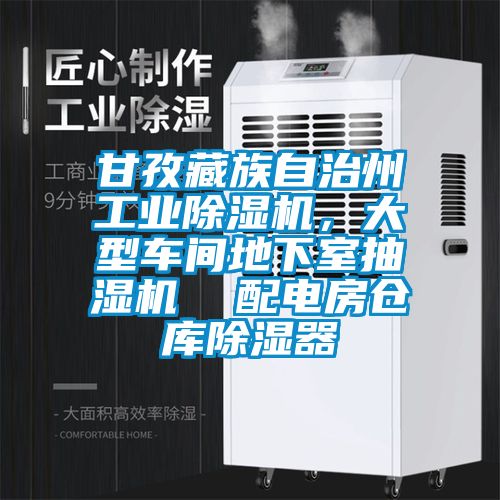 甘孜藏族自治州工業(yè)除濕機，大型車間地下室抽濕機  配電房倉庫除濕器