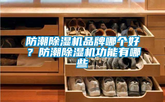 防潮除濕機品牌哪個好？防潮除濕機功能有哪些