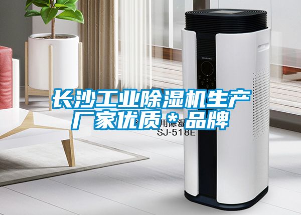 長沙工業(yè)除濕機生產(chǎn)廠家優(yōu)質＊品牌