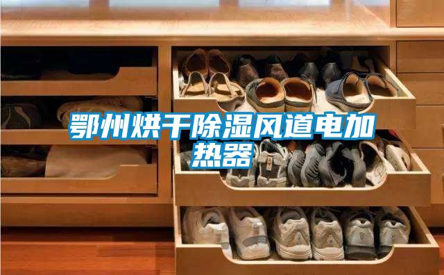 鄂州烘干除濕風(fēng)道電加熱器