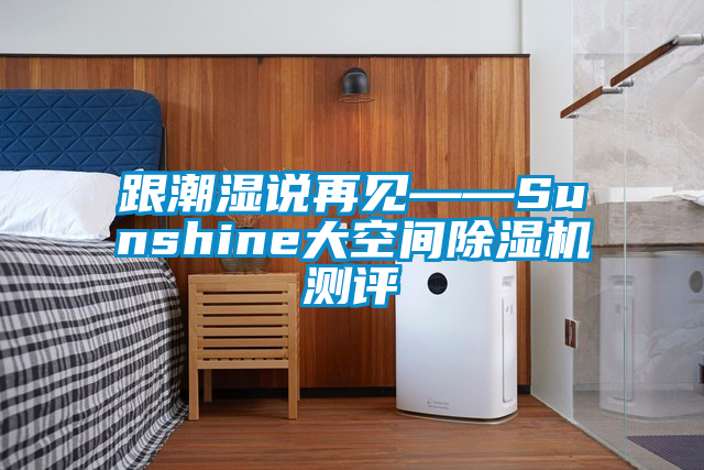 跟潮濕說再見——Sunshine大空間除濕機(jī)測評(píng)