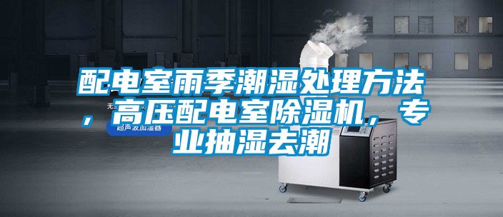 配電室雨季潮濕處理方法，高壓配電室除濕機(jī)，專業(yè)抽濕去潮