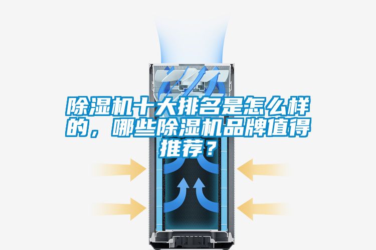 除濕機十大排名是怎么樣的，哪些除濕機品牌值得推薦？