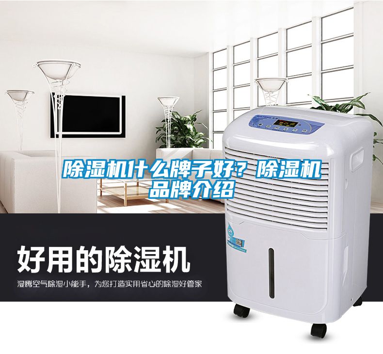 除濕機(jī)什么牌子好？除濕機(jī)品牌介紹