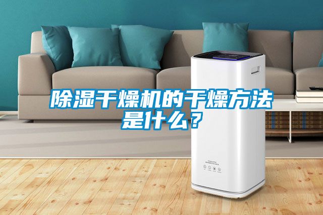 除濕干燥機的干燥方法是什么？