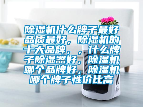 除濕機(jī)什么牌子最好品質(zhì)最好，除濕機(jī)的十大品牌，，什么牌子除濕器好，除濕機(jī)哪個品牌好，除濕機(jī)哪個牌子性價比高