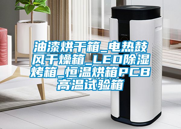 油漆烘干箱_電熱鼓風干燥箱_LED除濕烤箱_恒溫烘箱PCB高溫試驗箱