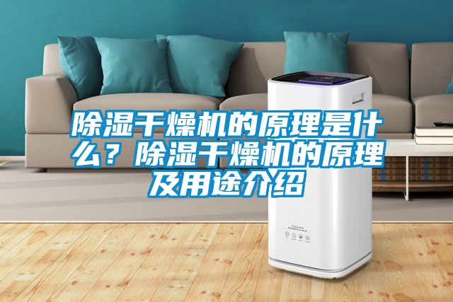 除濕干燥機的原理是什么？除濕干燥機的原理及用途介紹