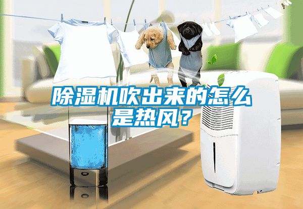 除濕機(jī)吹出來(lái)的怎么是熱風(fēng)？