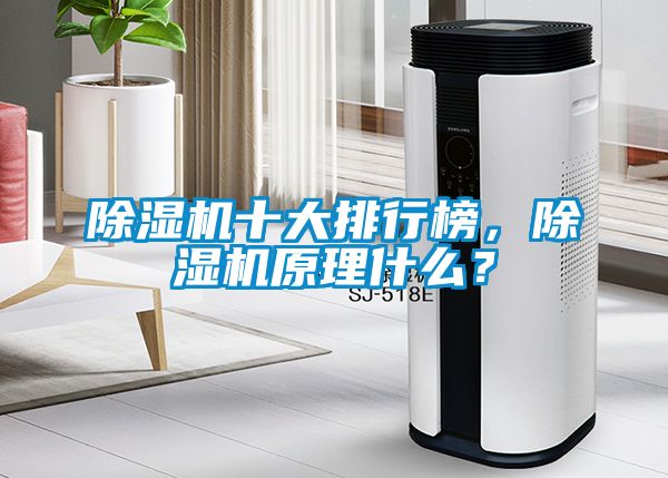 除濕機十大排行榜，除濕機原理什么？