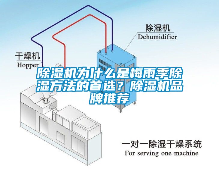 除濕機(jī)為什么是梅雨季除濕方法的首選？除濕機(jī)品牌推薦